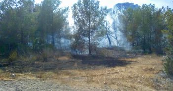 Una vintena de cases desallotjades per l’incendi