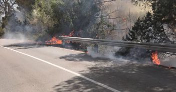 Foc estabilitzat ha cremat 6 Hectàrees