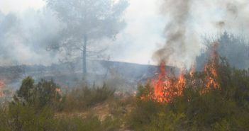 El tercer incendi de Cala Saona crema 6 hectàrees de pins