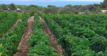 La temperatura s’ha incrementat en 0,8 graus en els darrers 10 anys a Balears