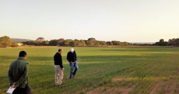 El Consell aporta 115.000 euros a la Cooperativa del Camp