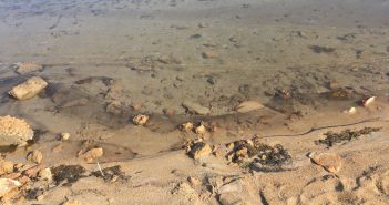 Vessament contaminant a l’estany des Peix