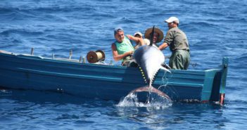 El Consell dóna suport a l’acord sobre pesca a les pitiüses dels Governs Balear i Valencià