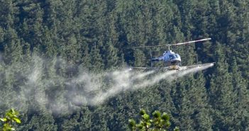 Així són les fumigacions contra la processionària del pi