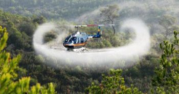 Les fumigacions aèries contra la processionària es reprendran a l’octubre