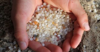 Taller de microplàstics a la platja des Cavall d’en Borràs