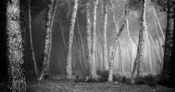 Avui s’inaugura l’exposició de les millors fotos del Concurs Beni Trutmann