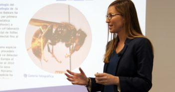 Les abelles, protagonistes a la jornada inaugural de la Universitat de Majors