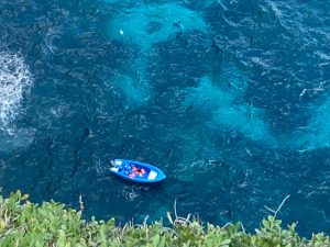 Imatge d'arxiu d'una pastera a la Mola.