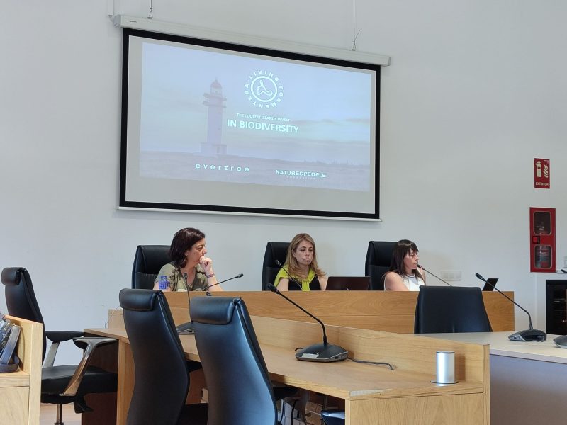 Verònica Castelló, Belén Palerm i Jimena Villamizar, al Consell d'Entitats.