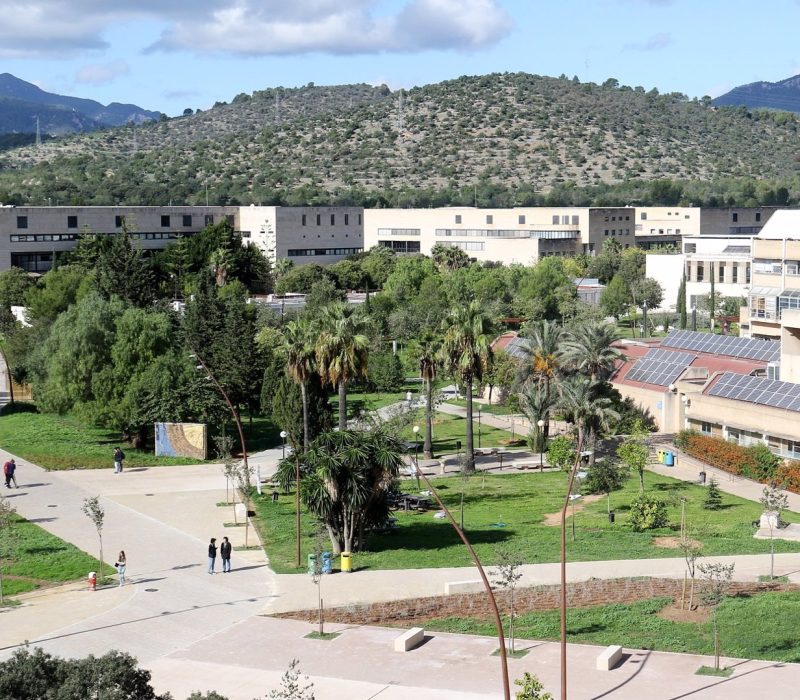 El campus de la Universitat de les Illes Balears.