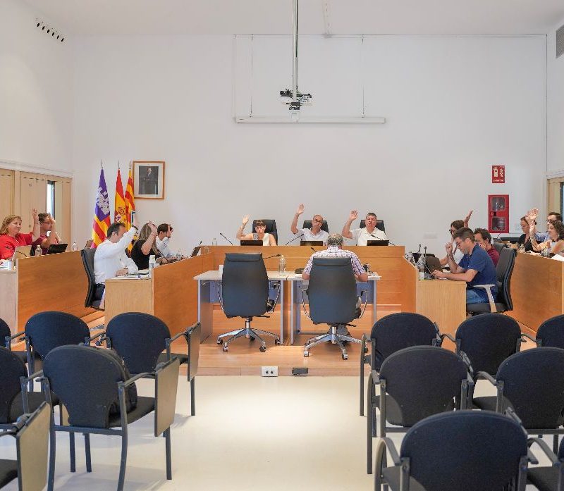 Ple consell