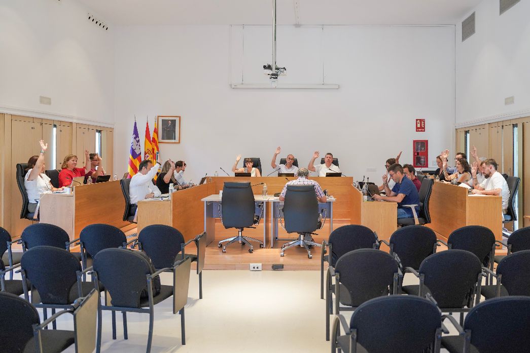 Ple consell
