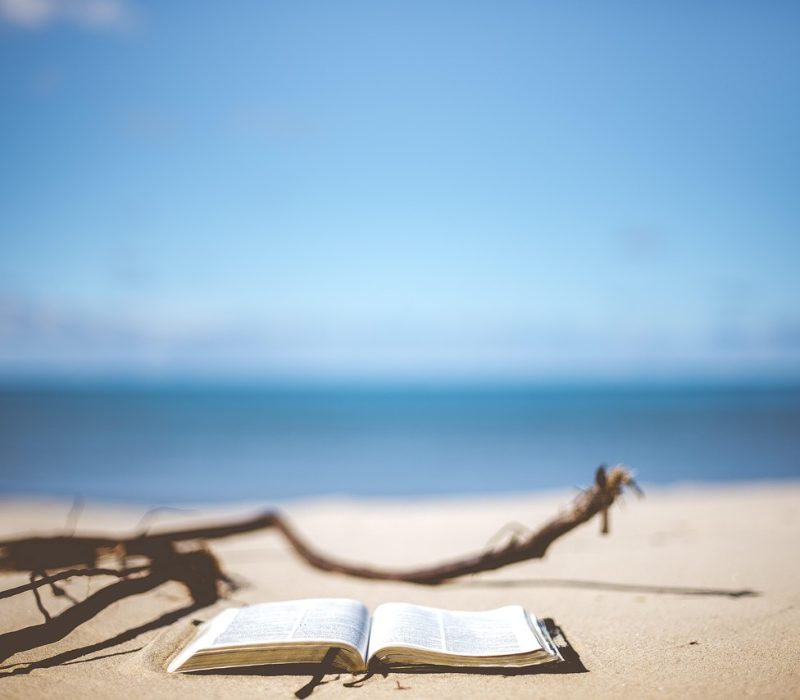 Imatge d'arxiu d'un llibre a la platja.