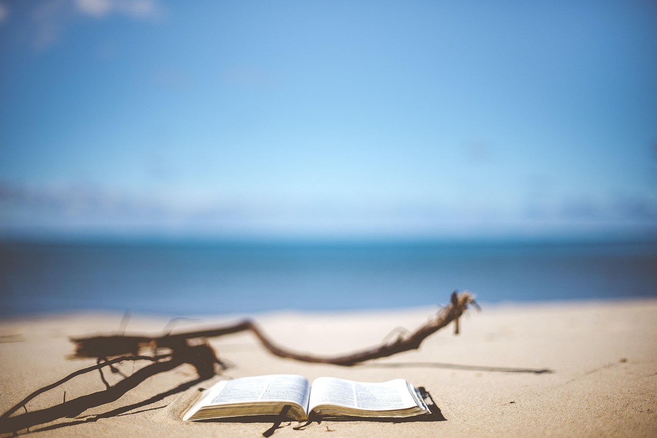 Imatge d'arxiu d'un llibre a la platja.
