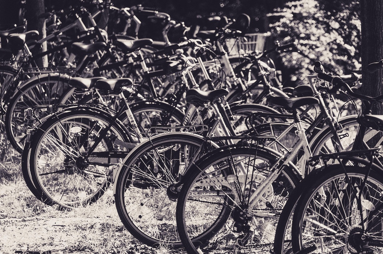 Imatge d'arxiu de bicicletes.