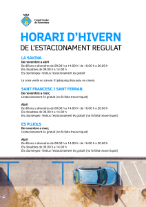 Cartell zona blava
