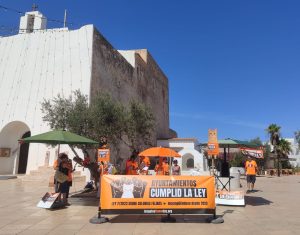 colonies felines concentració benestar animal gats